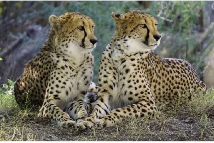 9 Days Northern Circuit Safari
